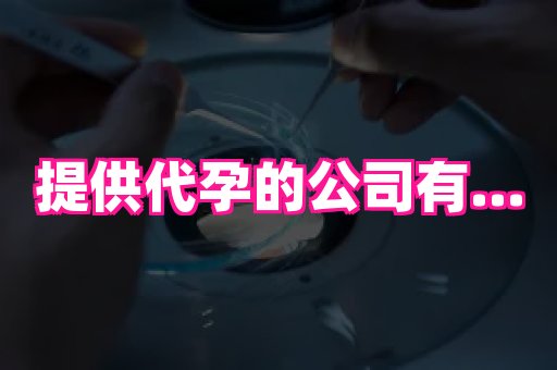 贵州助孕网站 2