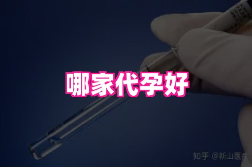 贵州助孕网站 3